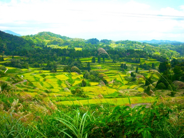 リフレッシュに最適な旅行先の田舎の風景